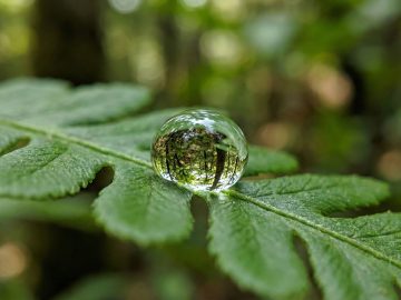 Nano Banana PRO stílus makró